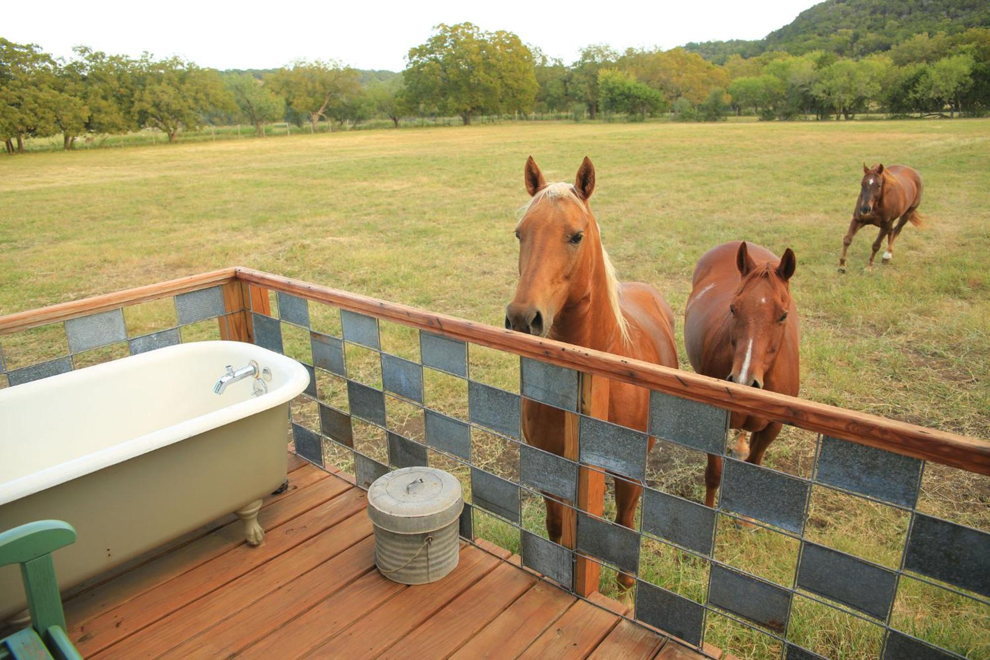Montesino Ranch Lodging Villa Wimberley Ngoại thất bức ảnh