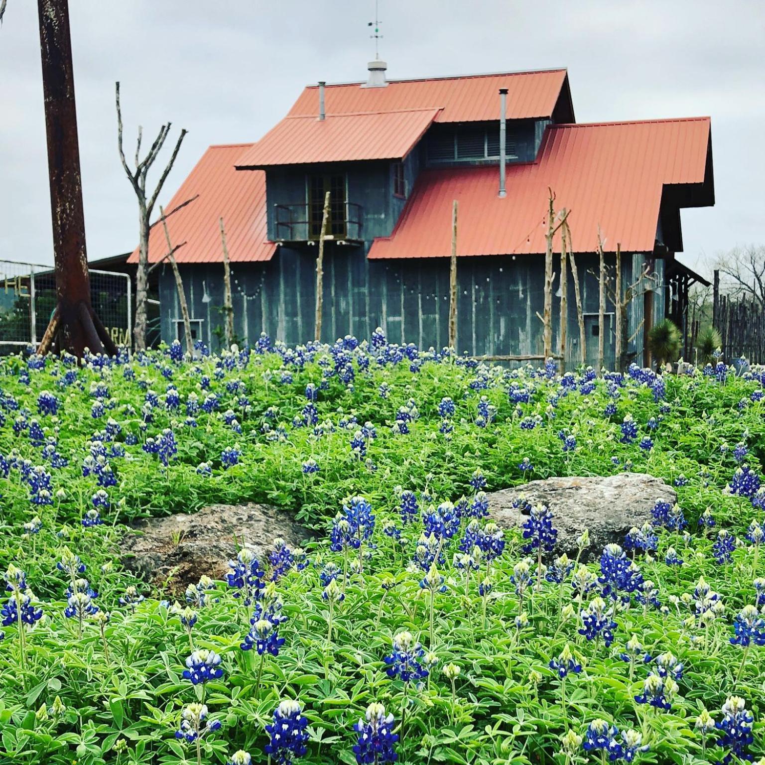 Montesino Ranch Lodging Villa Wimberley Ngoại thất bức ảnh
